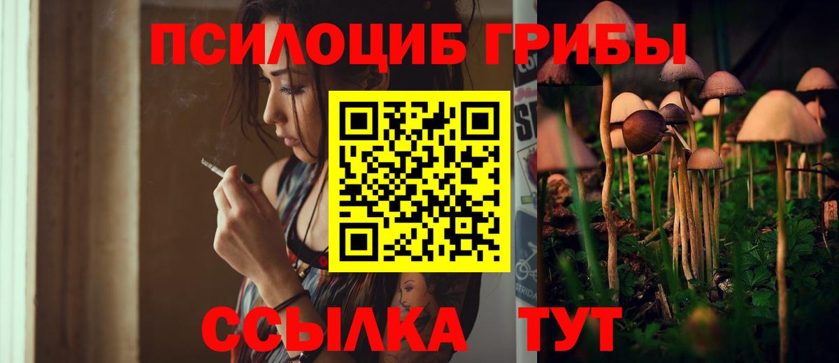 Сызрань  Галлюциногенные грибы ЛСД  Вход с VPN 